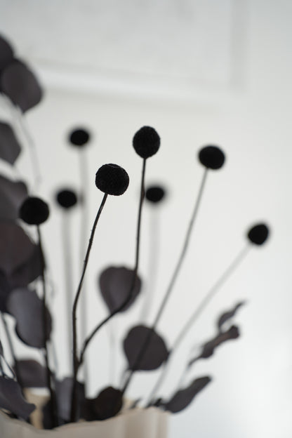 Craspedia Trockenblumen schwarz – 15 Stiele Deko Bund modern