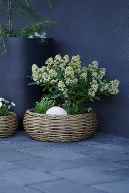 Runde Pflanzschale aus Rattan mit Folie – Naturdesign