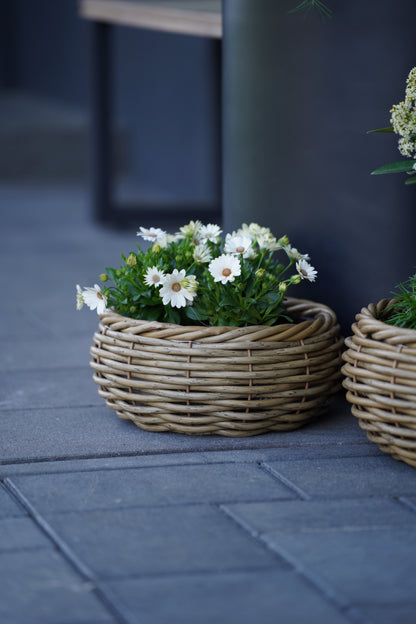 Runde Pflanzschale aus Rattan mit Folie – Naturdesign