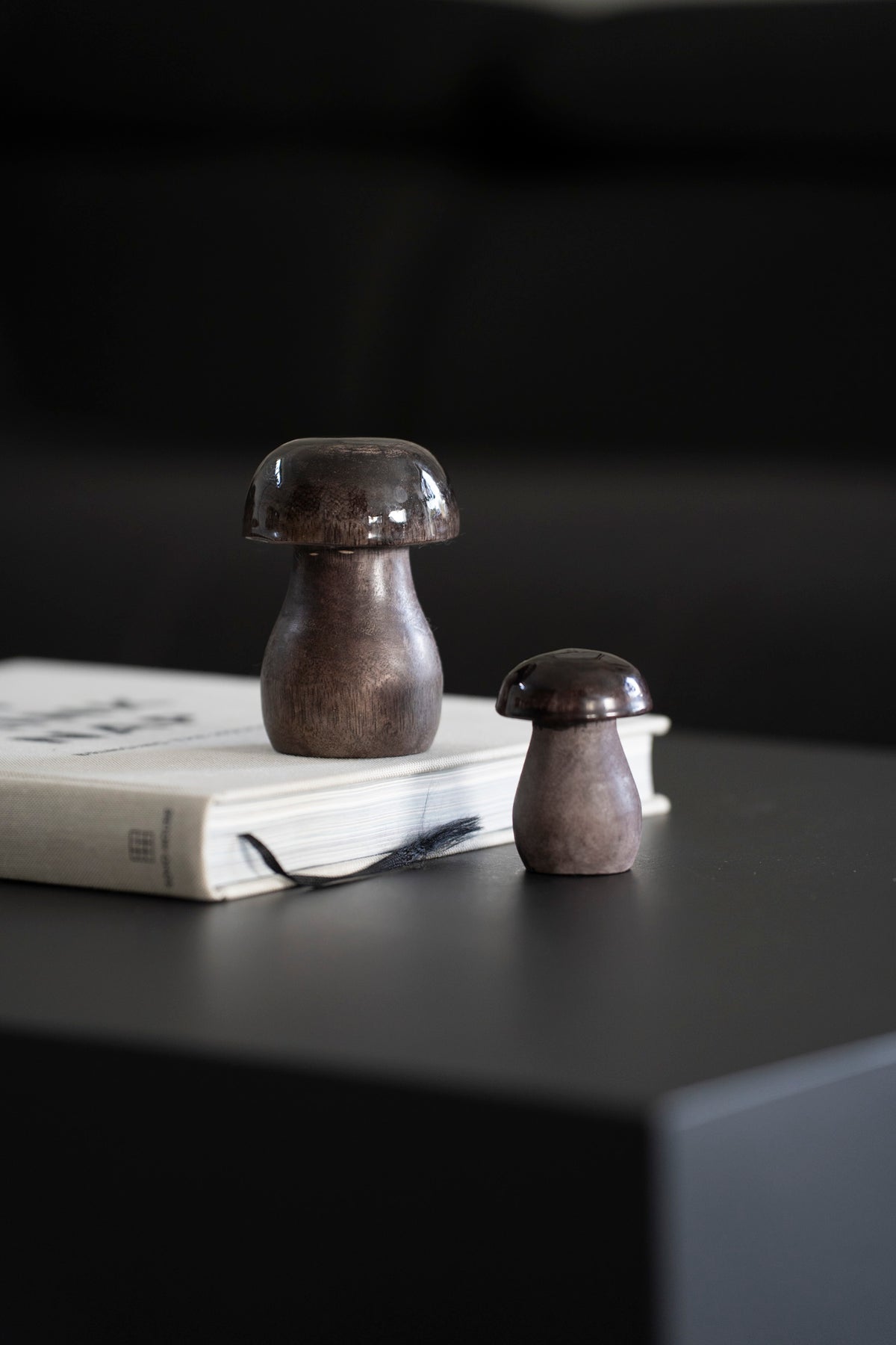 Deko Pilz aus Holz, Braun mit Glanz und Matt Finish