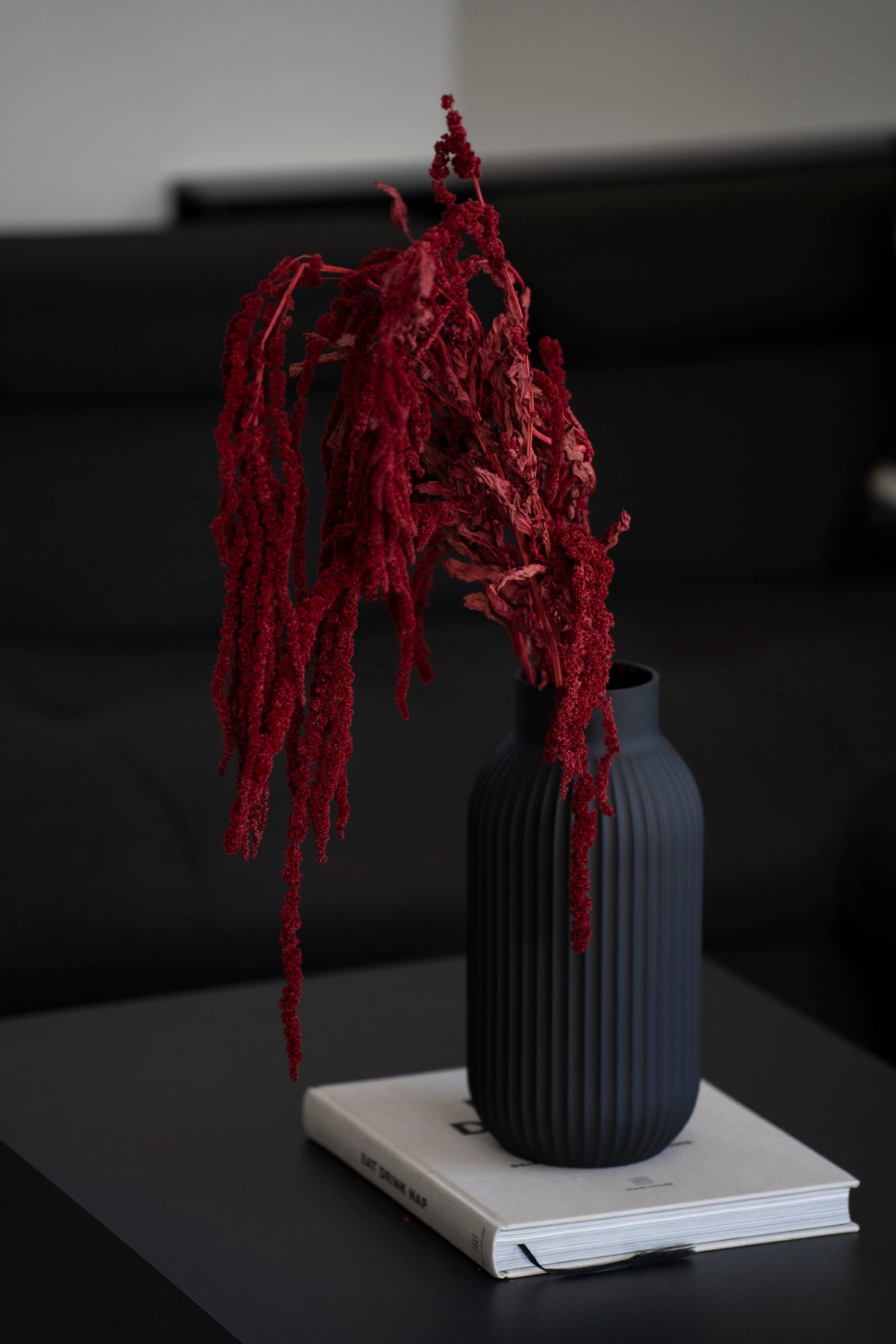 Getrocknete Amaranthus Caudatus Dreadlocks
