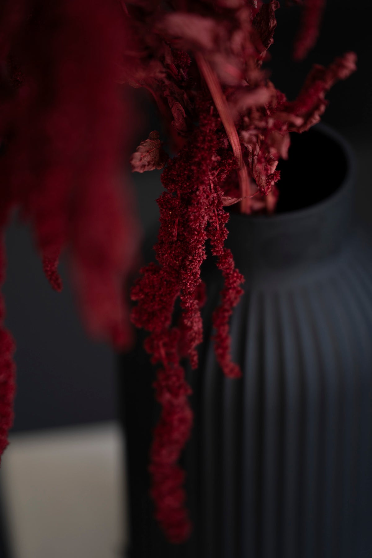 Getrocknete Amaranthus Caudatus Dreadlocks