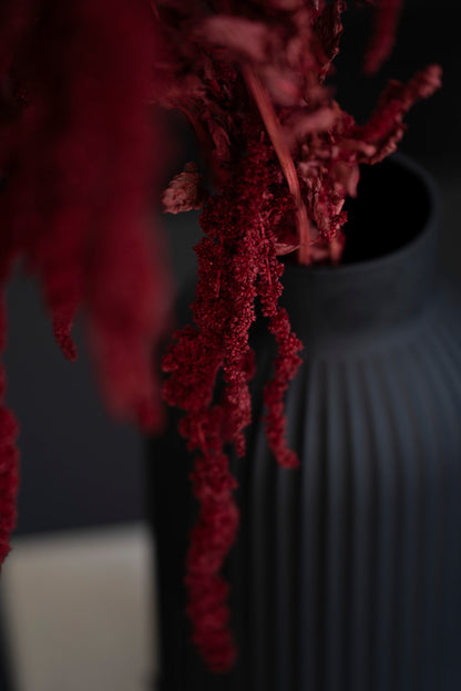 Getrocknete Amaranthus Caudatus Dreadlocks