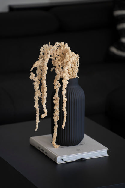 Getrocknete Amaranthus Caudatus Dreadlocks