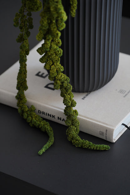 Getrocknete Amaranthus Dreadlocks – Natürliche Deko | 80-100cm