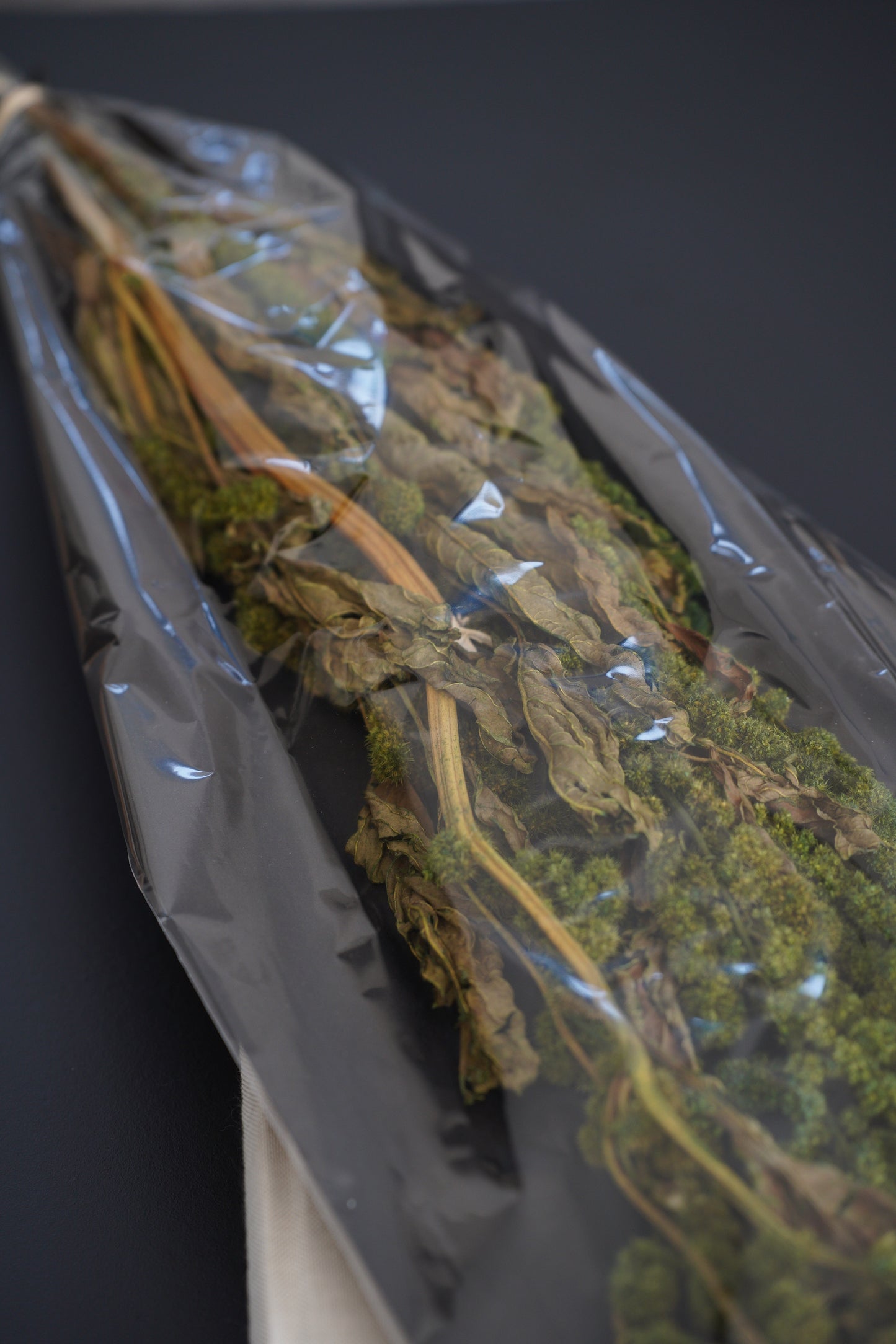 Getrocknete Amaranthus Dreadlocks – Natürliche Deko | 80-100cm