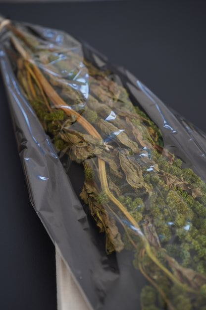Getrocknete Amaranthus Dreadlocks – Natürliche Deko | 80-100cm