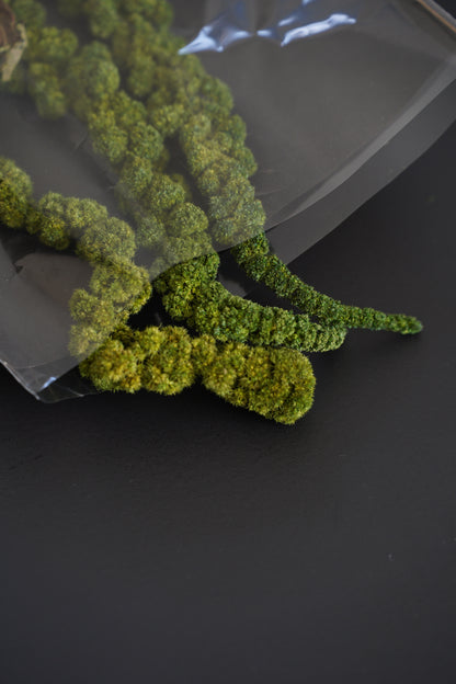 Getrocknete Amaranthus Dreadlocks – Natürliche Deko | 80-100cm