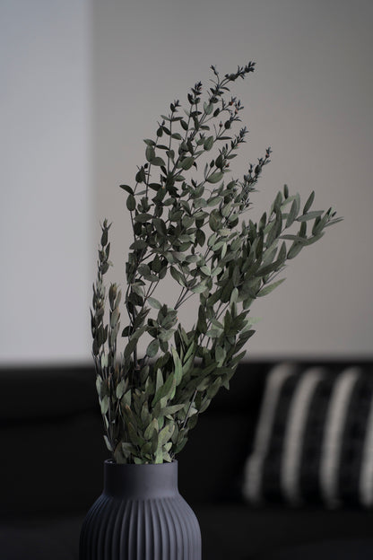Konservierter Eukalyptus Parvifolia, grün