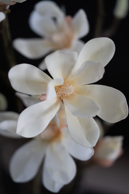 Künstlicher Magnolienzweig mit 3 Blüten - Nahaufnahme