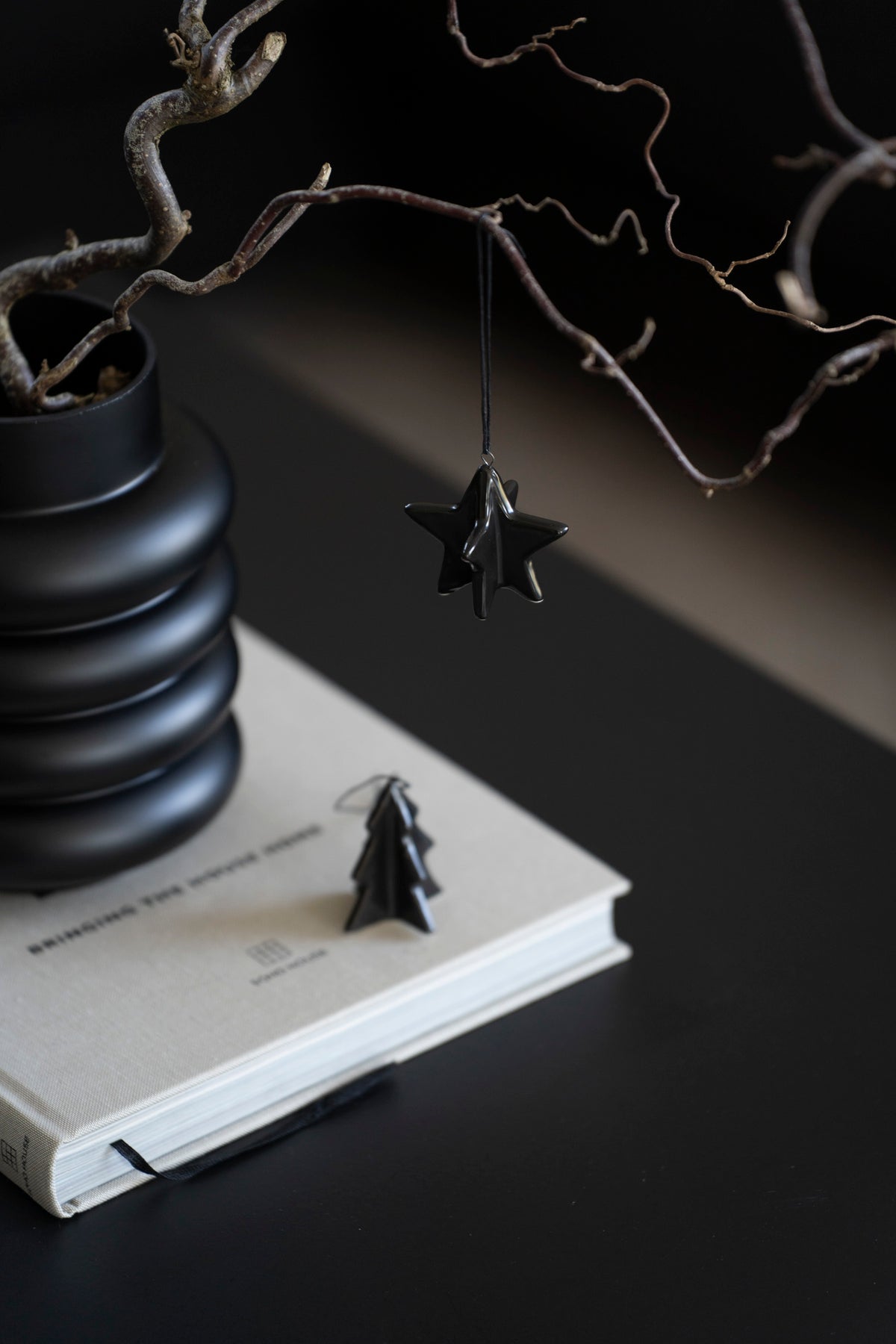 Modernes Keramik-Anhänger Set in Schwarz – Stern und Tannenbaum
