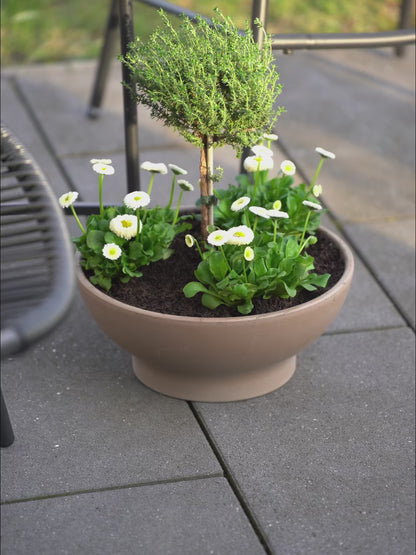 Pflanzschale braun mit Loch – Blumenschale rund